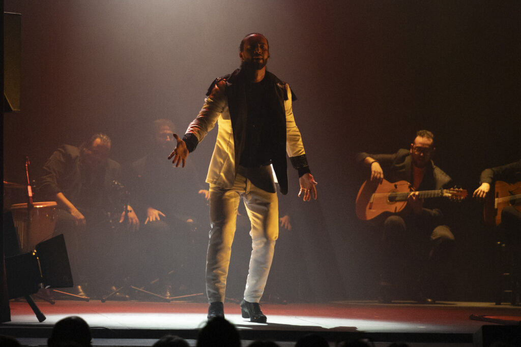 Festival Internacional Flamenco MX 2025