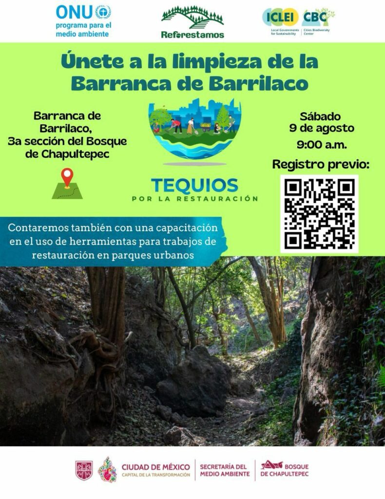Limpieza de la Barranca de Barrilaco