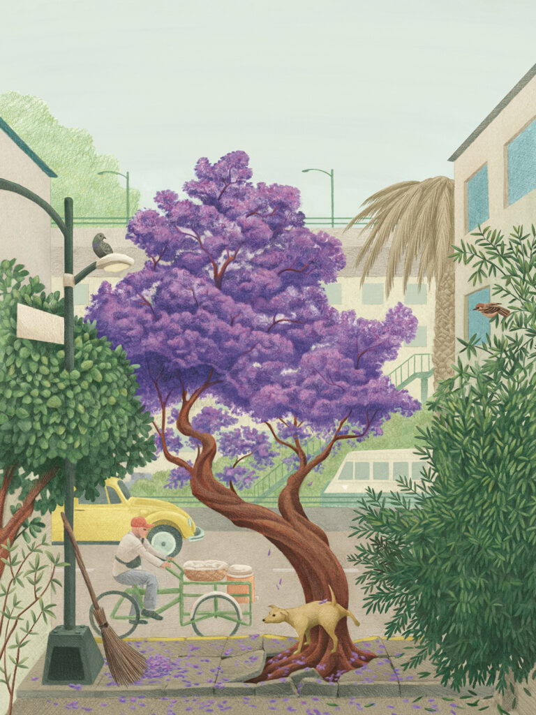 portada agosto 2025 árboles que nos dan identidad cdmx