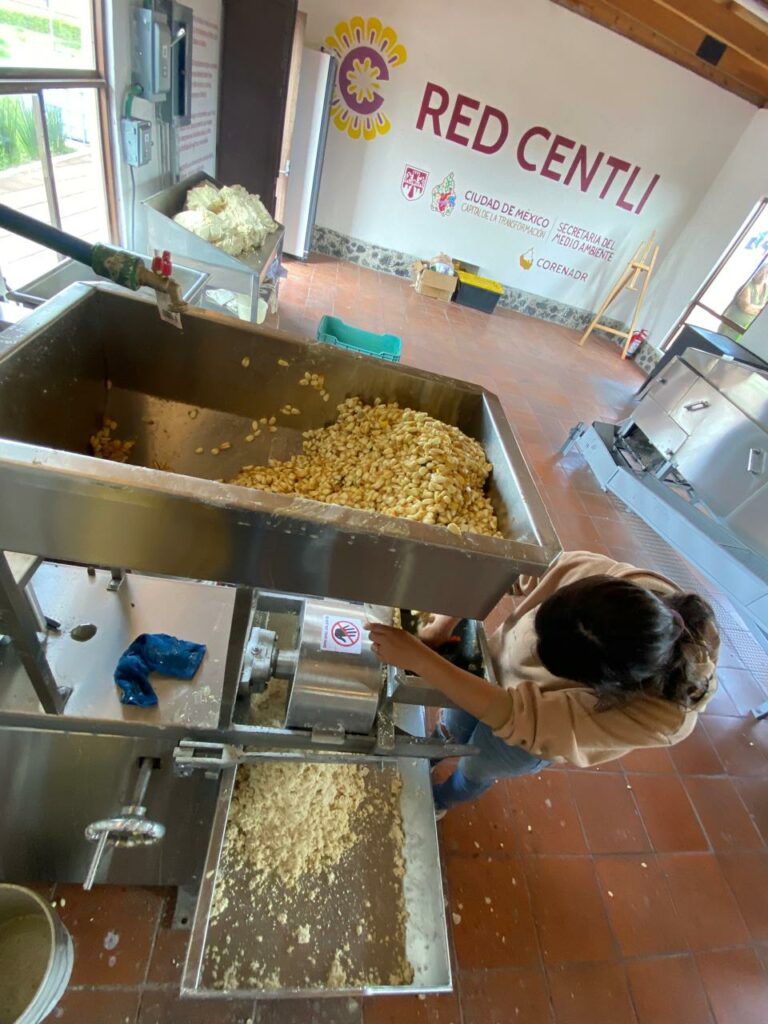 tortillería de maíz nativo en CDMX