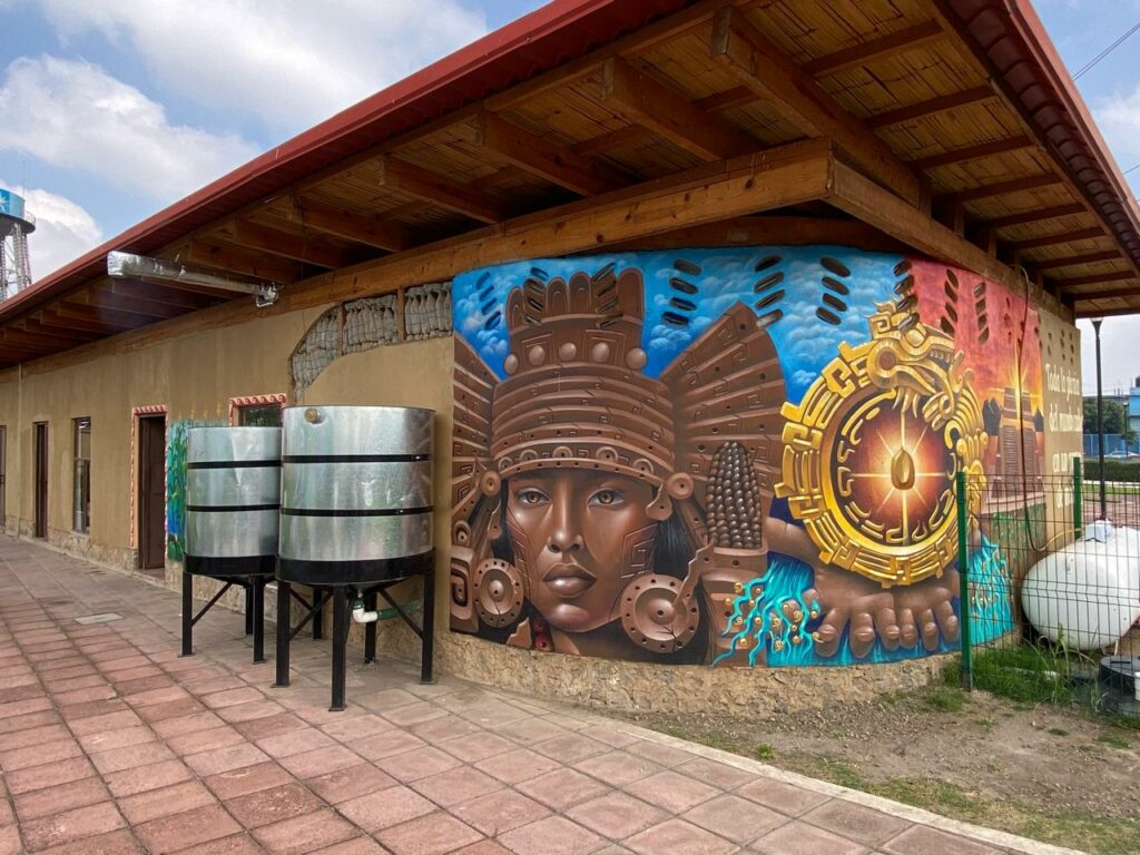 Tortillería de maíz nativo