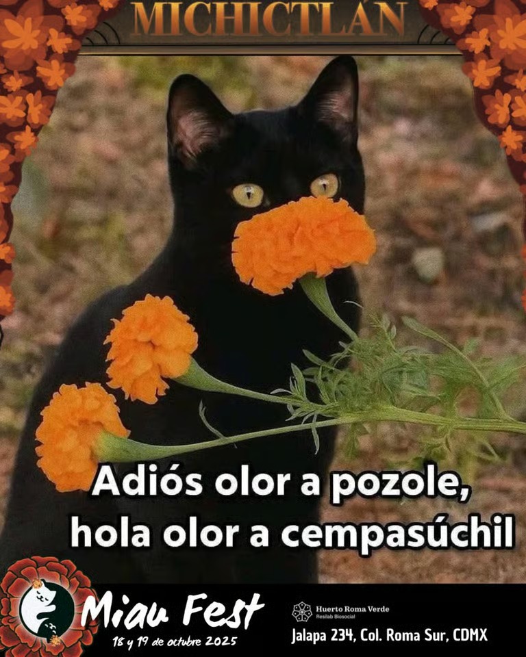 Eventos del fin de semana en CDMX