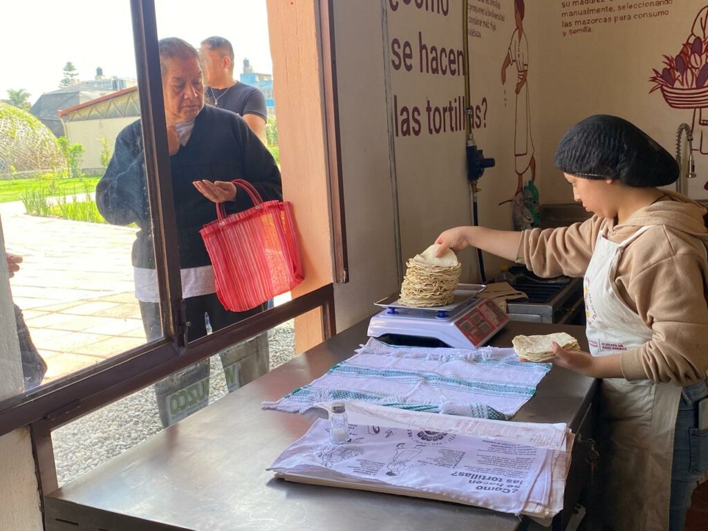 Tortillería de Maíz nativo