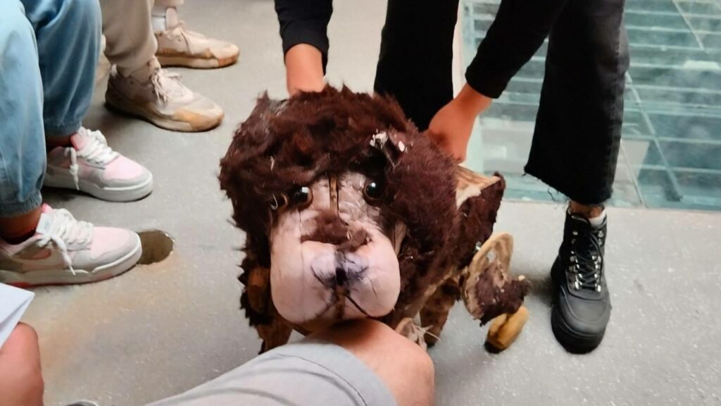 Firu y sus amigos Avellana y Huesos protagonizan una historia que promueve la adopción responsable de perritos callejeros.