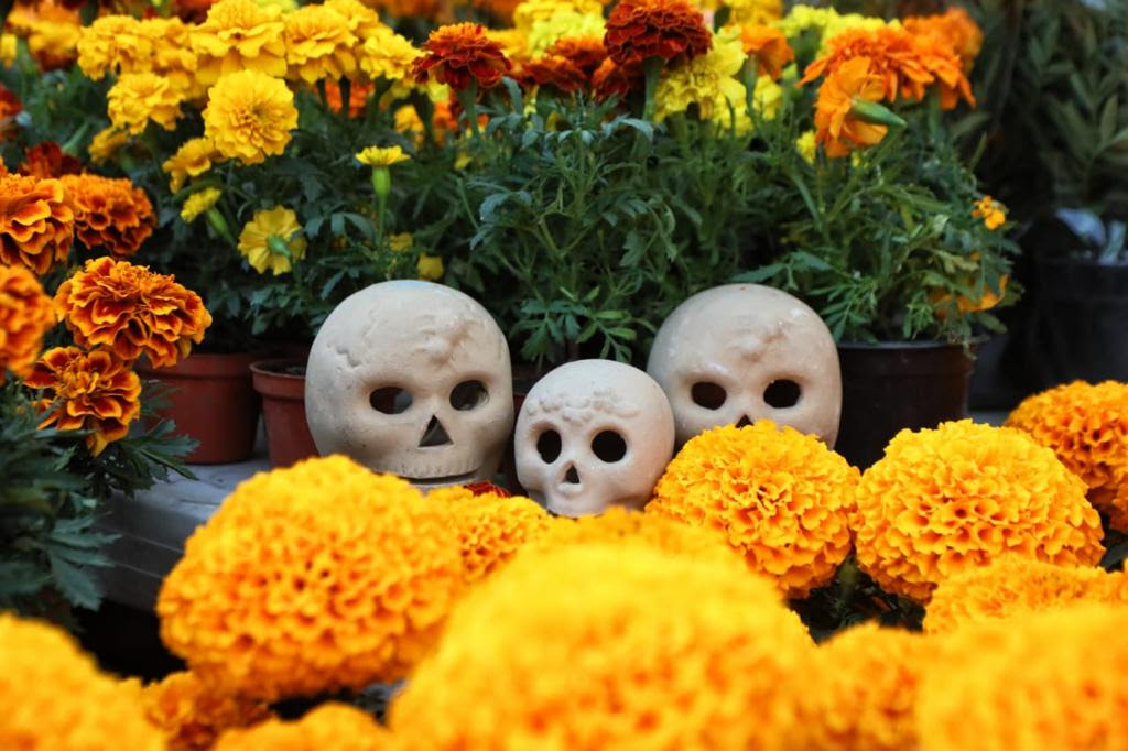 Eventos del fin de semana en CDMX