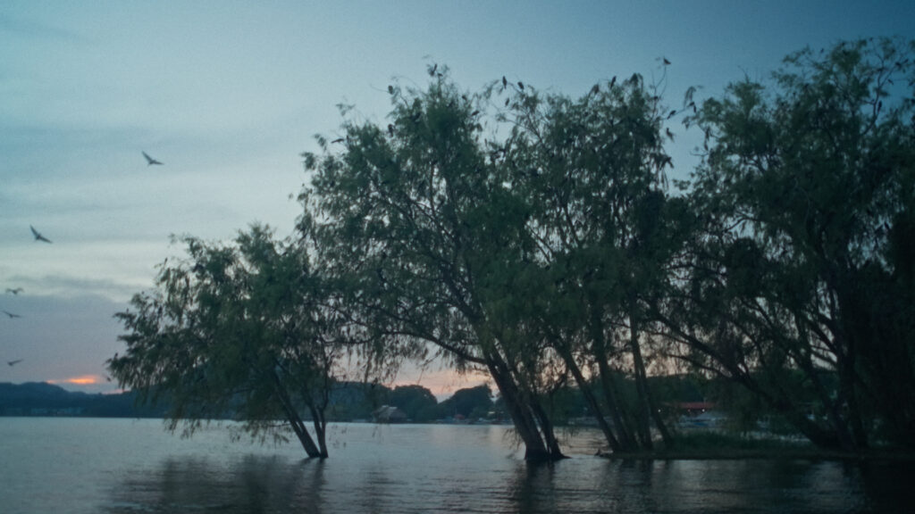 Escena de Àvia, el jardín de la memoria con árboles y un lago.