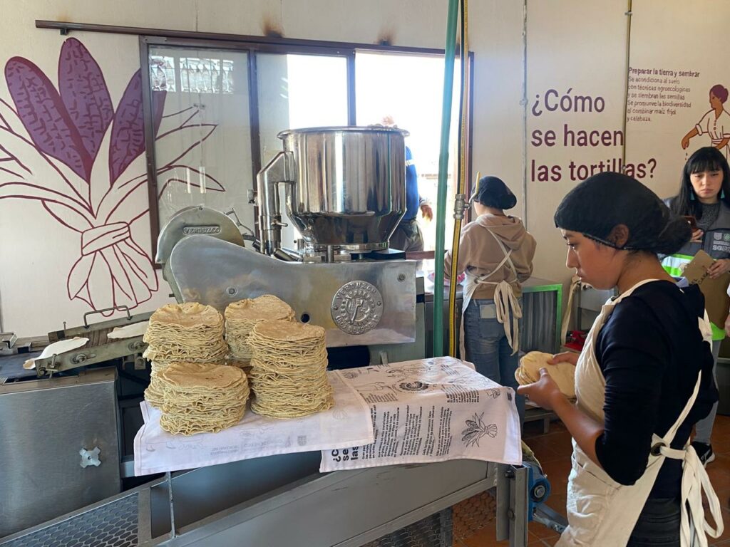 Tortillería de maíz nativo