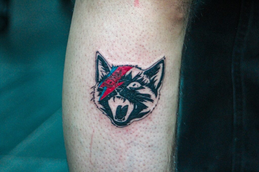 Tatuaje de un gato con el rayo de David Bowie.
