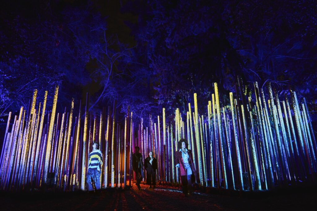 Instalaciones de luces en el Parque Rosario Castellanos en Chapultepec.