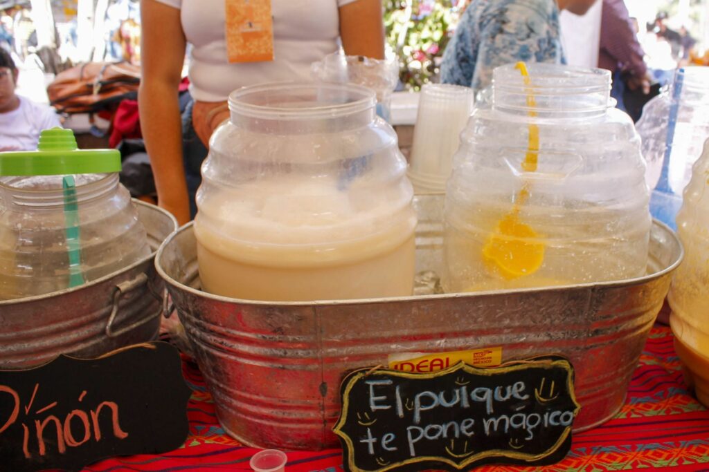 Feria del Pulque y la Barbacoa
