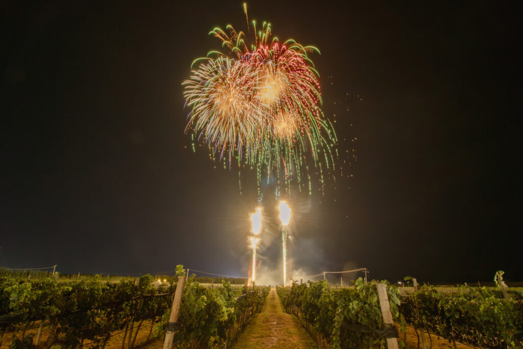 viajes parras coahuila viñedos