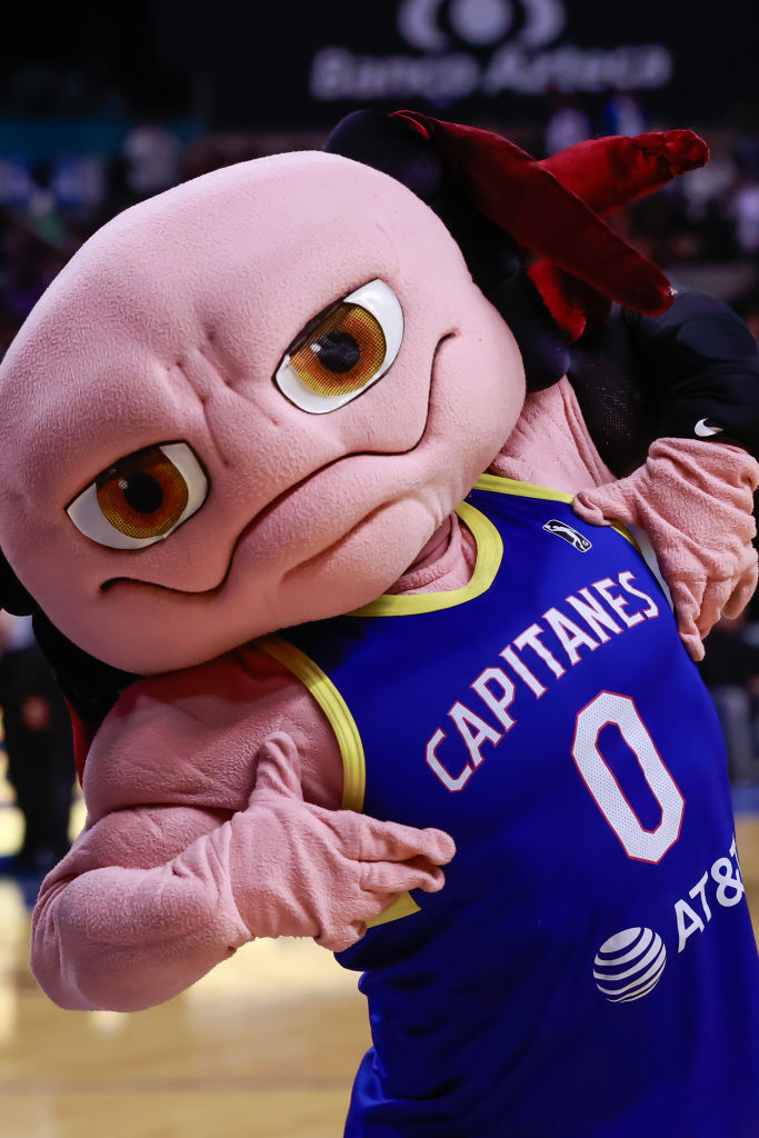 Juanjoloberto botarga