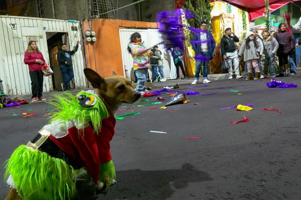Entre el 16 y el 24 de diciembre, distintas comunidades organizan posadas con música, comida y actividades para toda la familia.