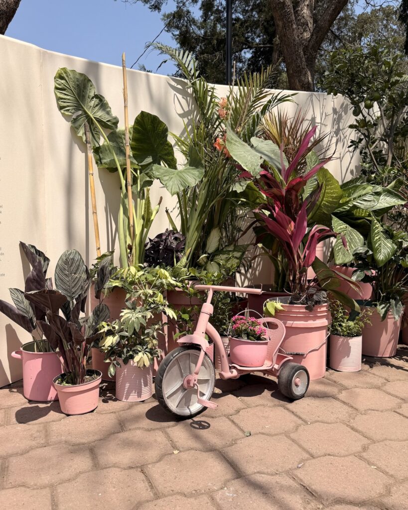 pabellón del Festival de Flores y Jardines de Polanco 2026.