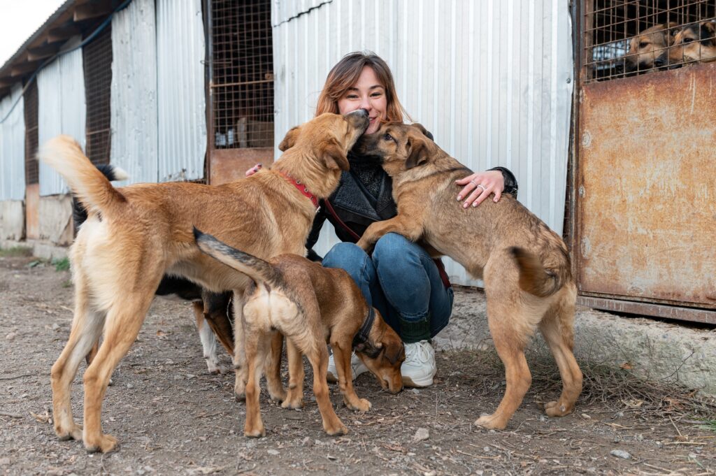 Este tipo de eventos busca fomentar la adopción responsable y reducir el abandono de perros y gatos en la Ciudad de México.