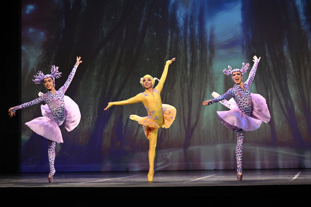 Ballet Male On Pointe.