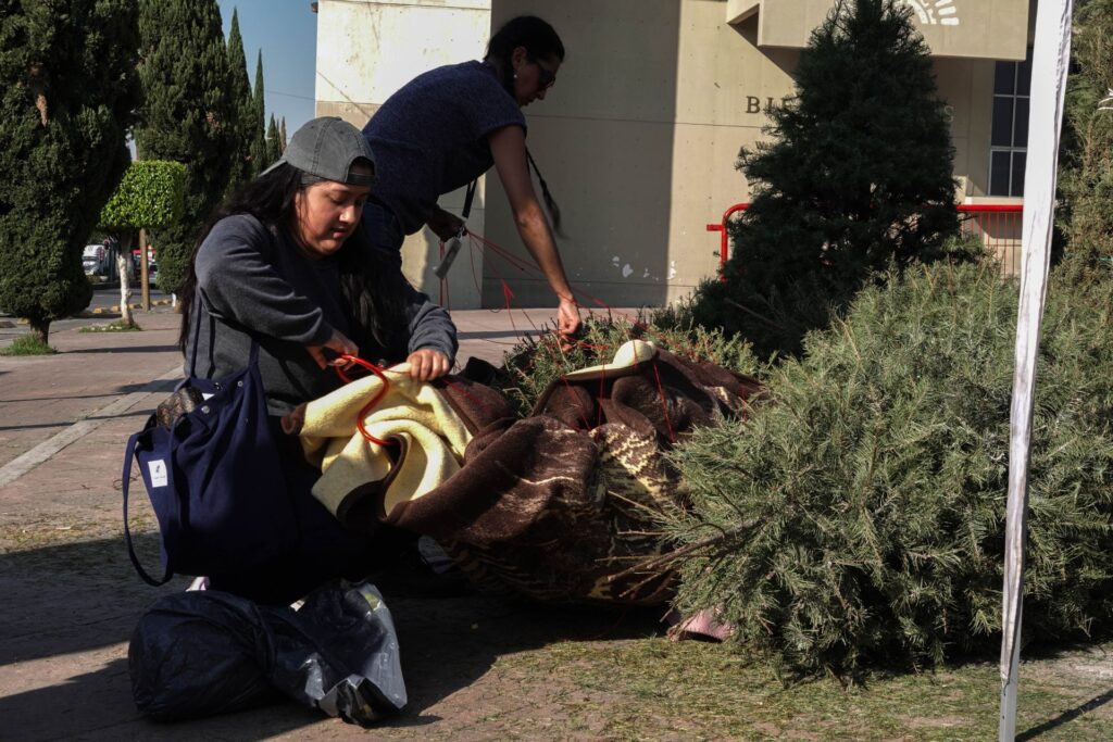 Dónde reciclar un árbol de Navidad