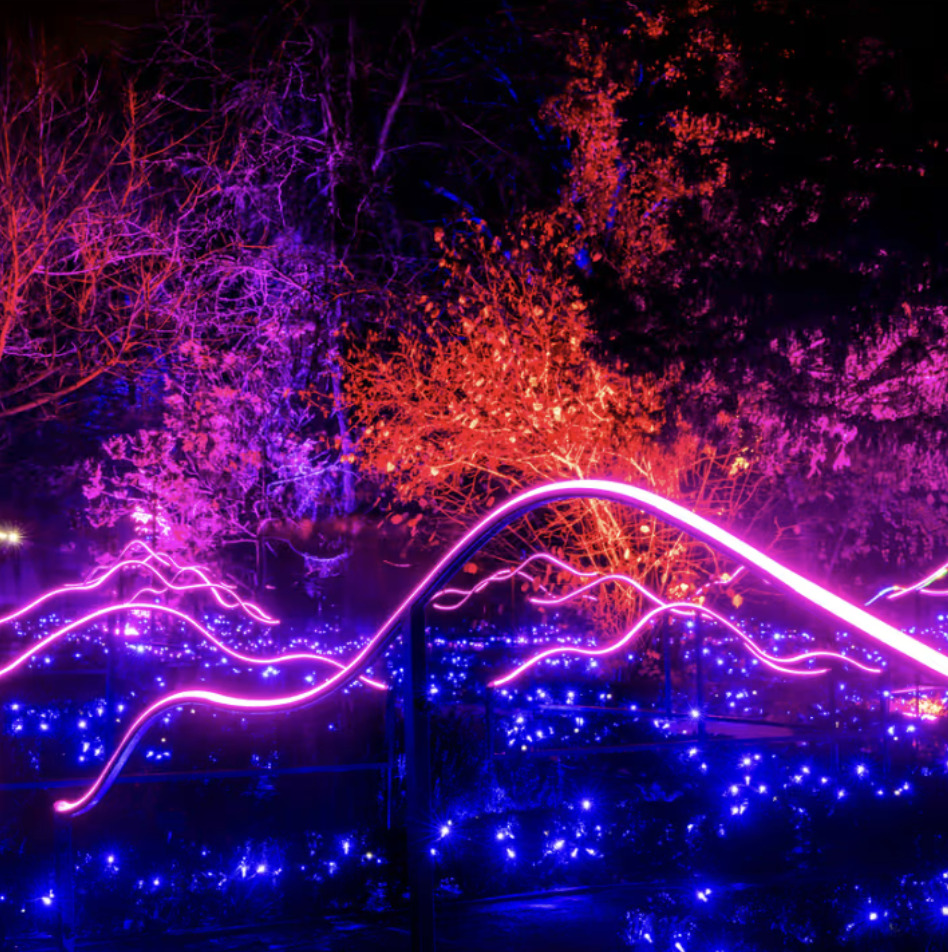 Jardín con luces en Parque Lira.