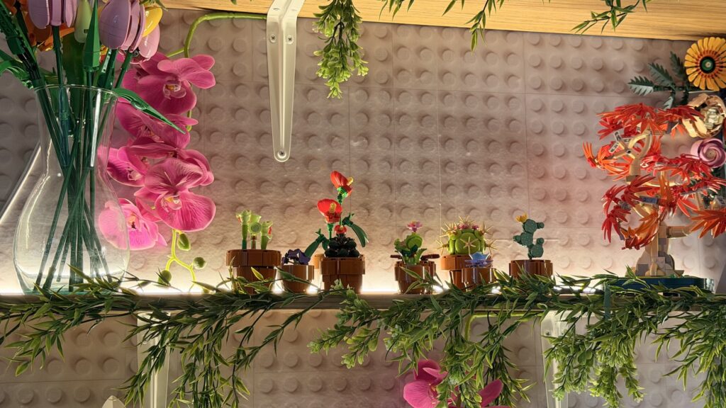 Set de suculentas de la instalación de flores armables.