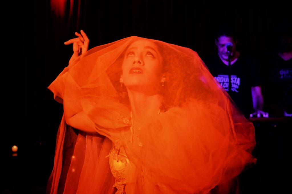 Retrato de artista en escena del espectáculo de Orquesta 24 Cuadros.