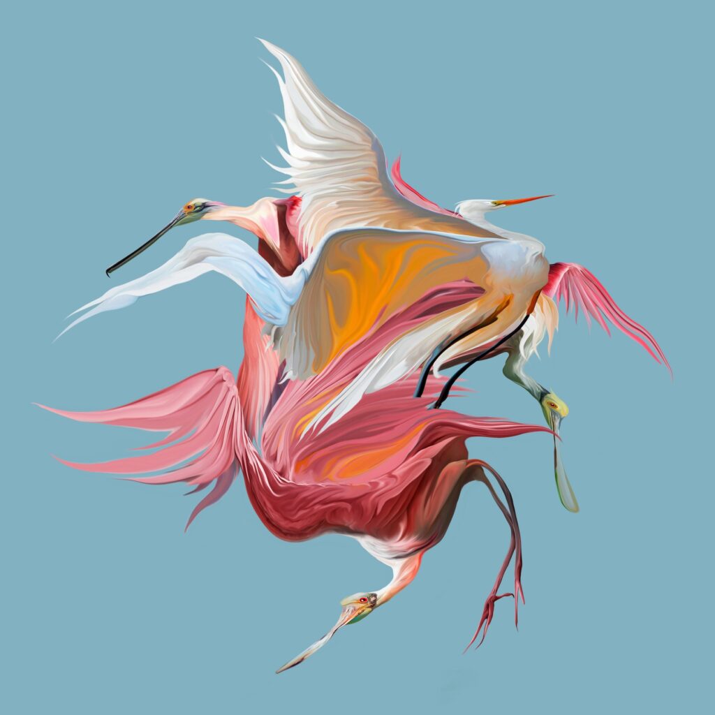 Distortion de Ricardo Luévanos.