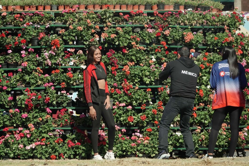 Eventos en CDMZ del 20 al 22 de febrero