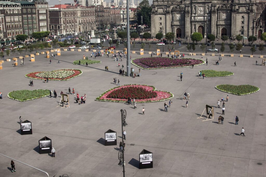 Flores en el Zócalo
