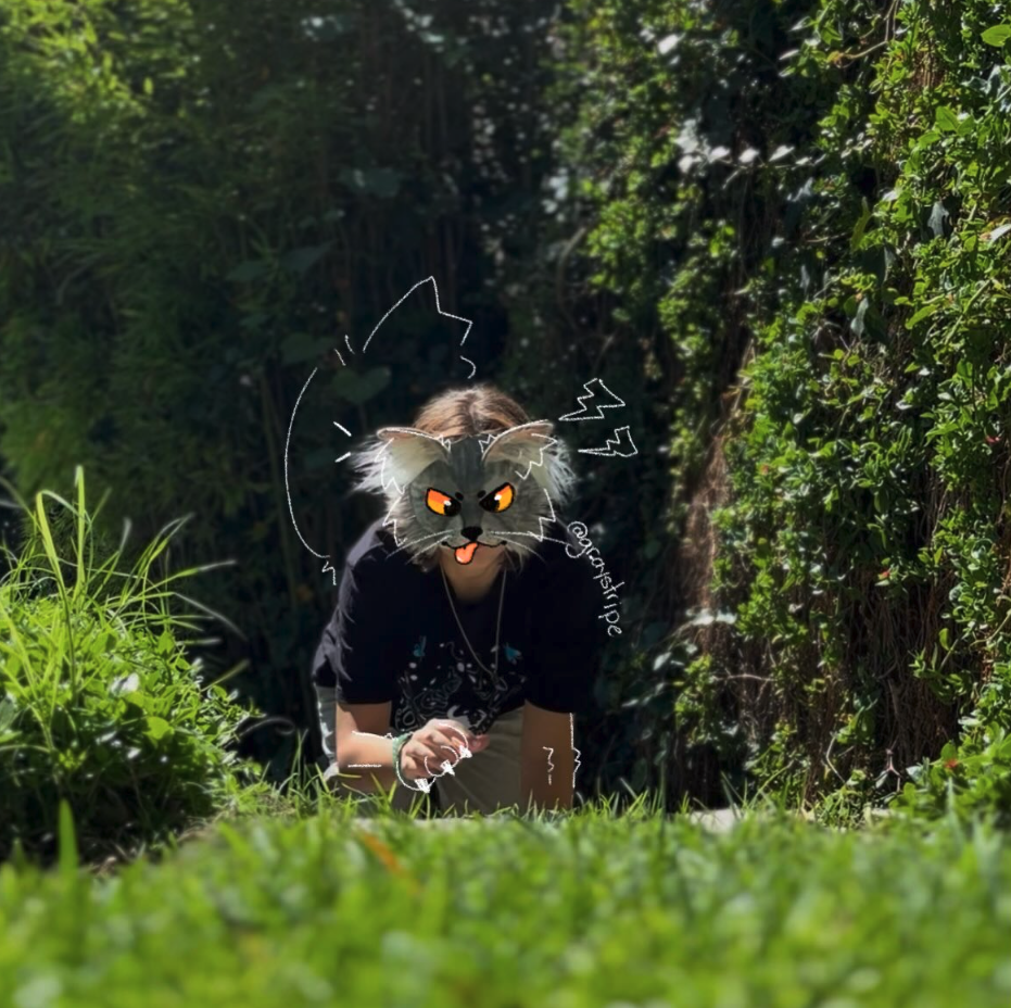 Identidad bajo la lupa. Ser therian en la CDMX implica navegar entre el instinto personal y el juicio público; una realidad que jóvenes como Gray defienden frente a la desinformación en redes sociales. 