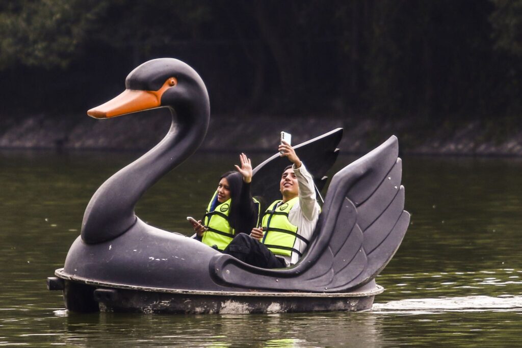 Súbete a una lanchita en Chapultepec. 