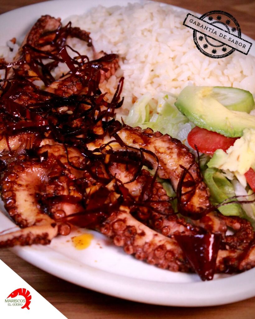 Tentáculos de pulpo braseados con salsa negra, acompañados de arroz y ensalada fresca.