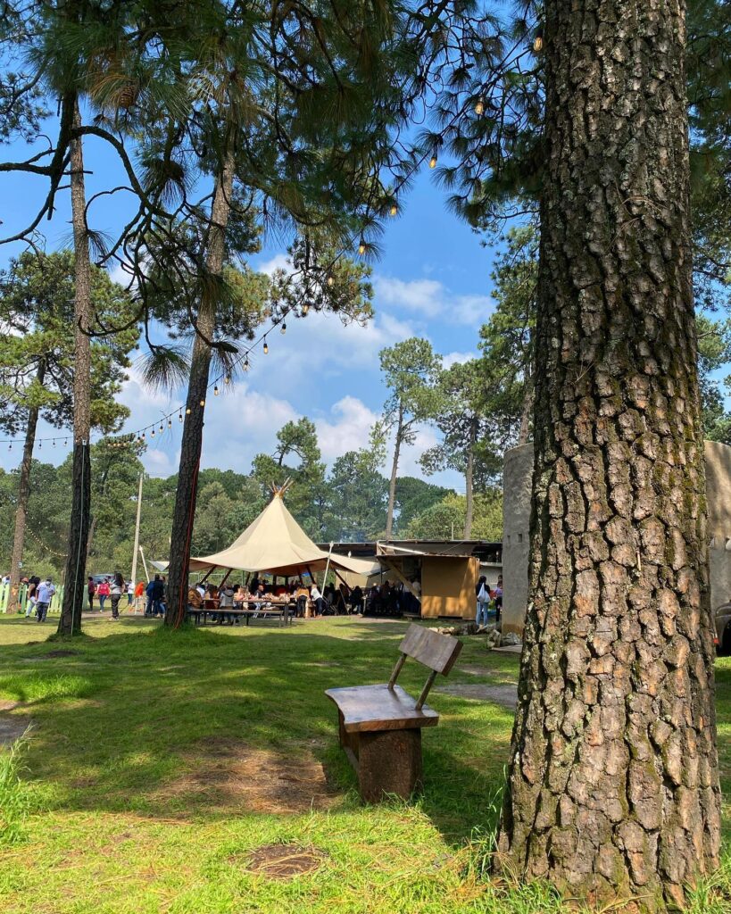 La búsqueda de huevos en Santa Montaña está diseñada para que los más pequeños de la casa exploren libremente entre la naturaleza.