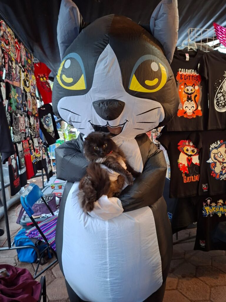 El Miau Fest 2026 transforma el Huerto Roma Verde en el "Catrnaval", un espacio familiar