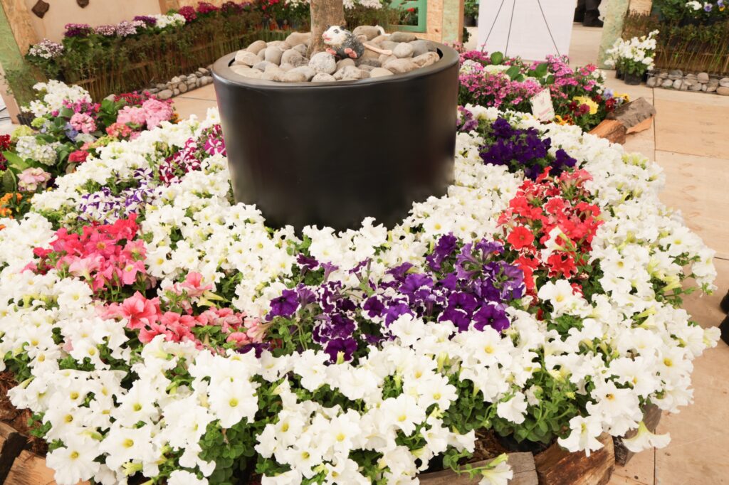 Festival de Flores de Primavera en CDMX