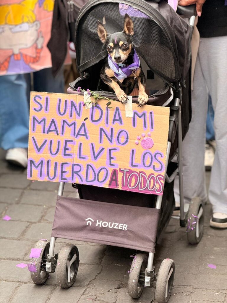 Mujeres de todas las edades se reunieron en la Glorieta de las Mujeres que Luchan.
