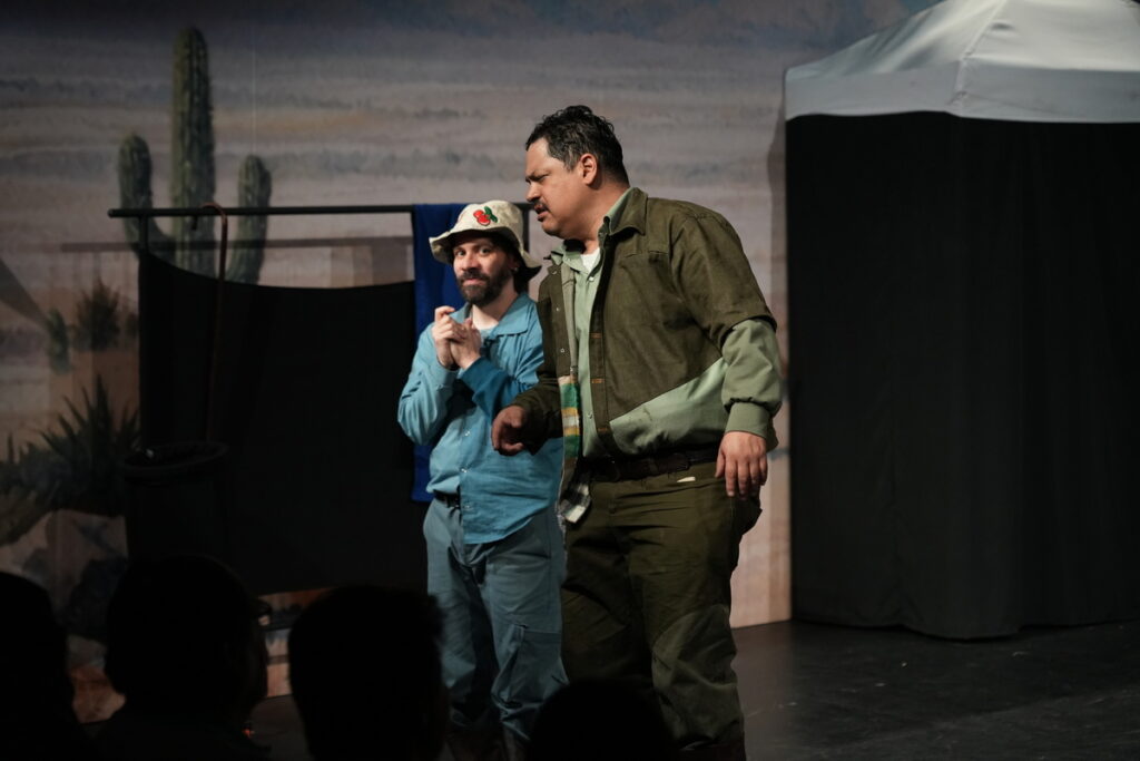 piedras en sus bolsillos teatro abril