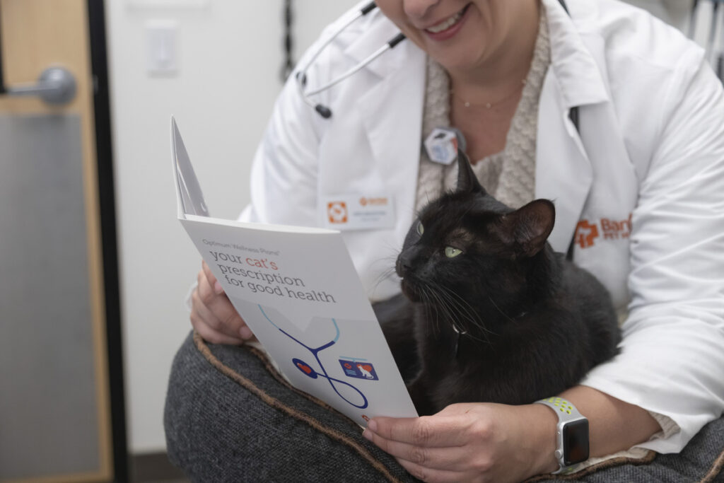 banfield hospital animales de compañía