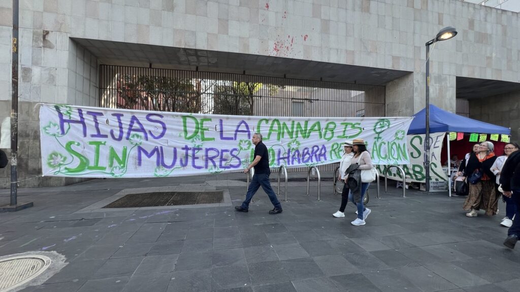 tolerancia cannábica