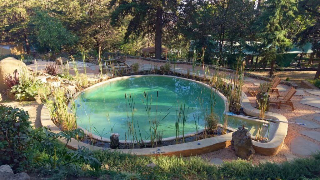 alberca al aire libre y rodeada de naturaleza