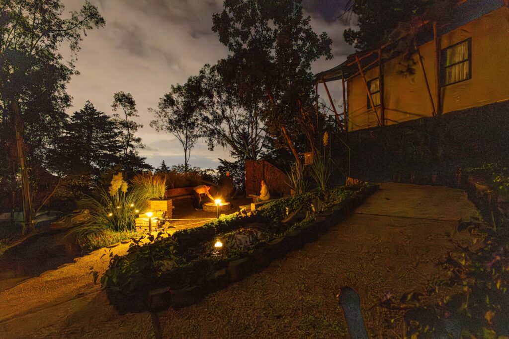 Fogata y caminata nocturna en el bosque