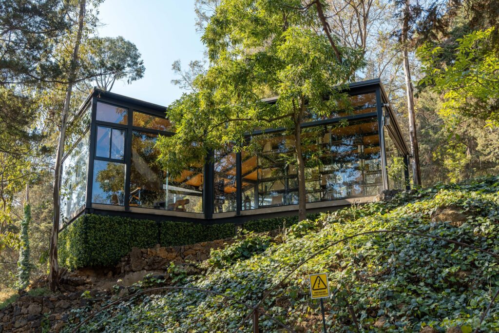chalet con vista al bosque de WoodScape en CDMX