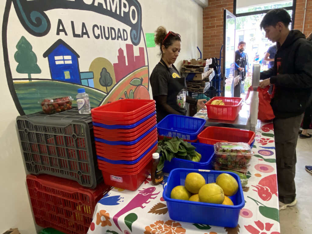 Programa Del Campo a la Ciudad