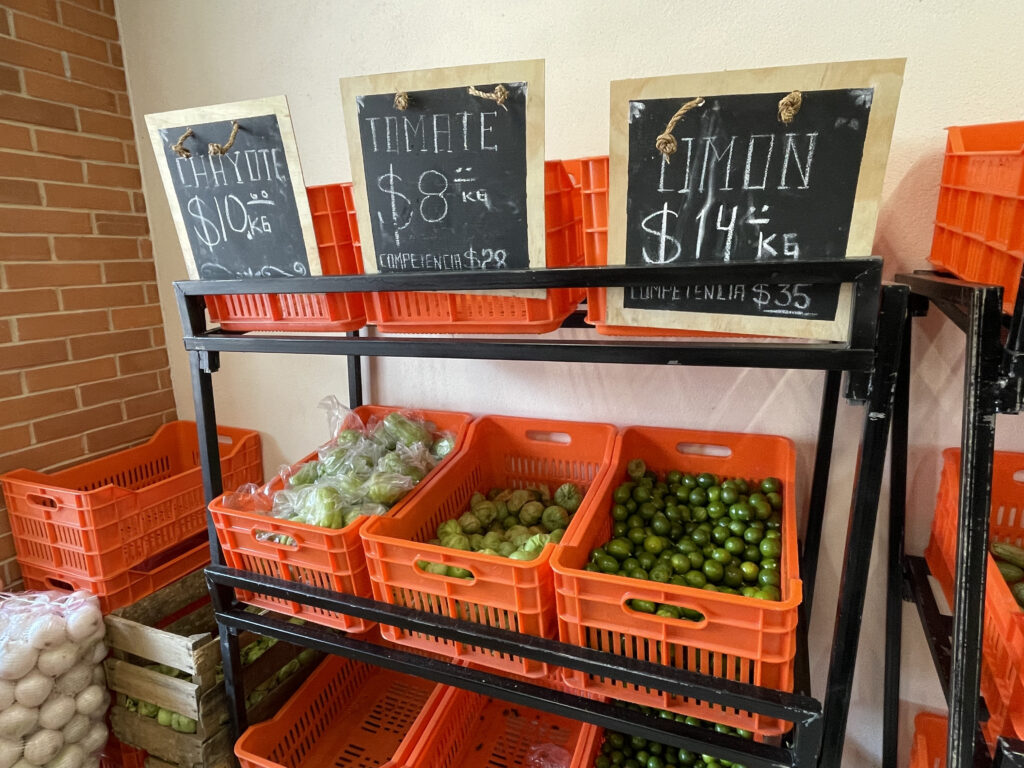 Tienda Del Campo a la Ciudad