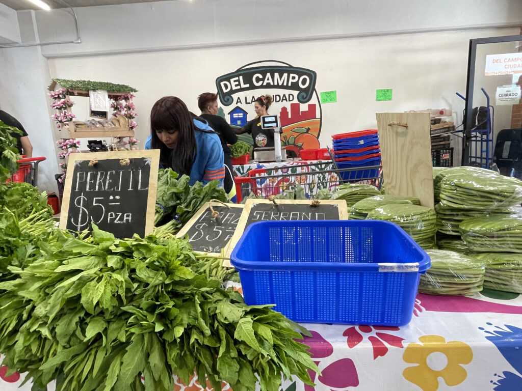 Programa Del Campo a la Ciudad