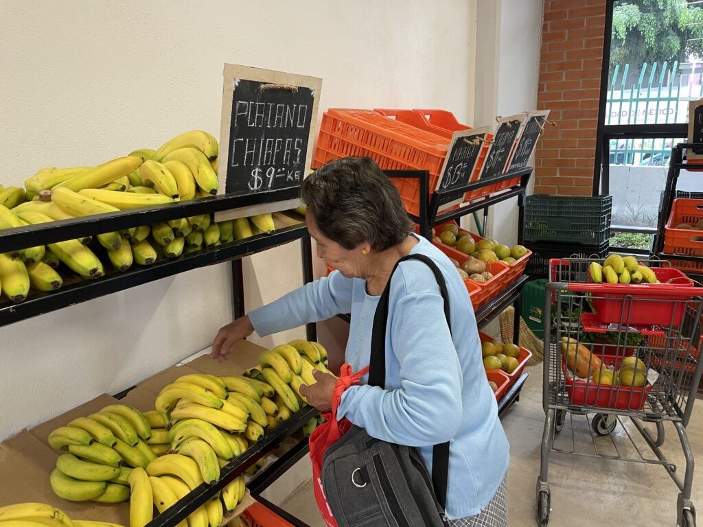 Tienda de la Tierra