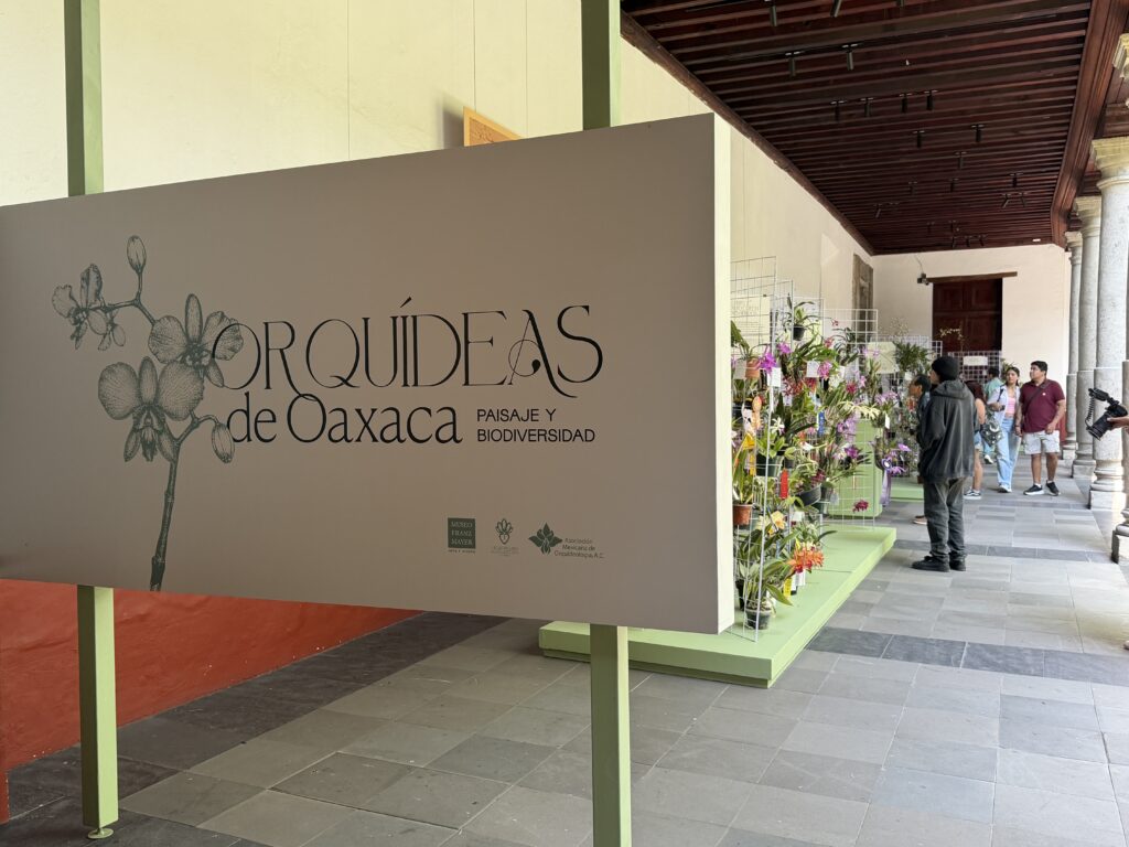 Miles de ejemplares de diversas especies llenarán de color el claustro del museo, donde los visitantes podrán elegir el regalo perfecto para este 10 de mayo. 