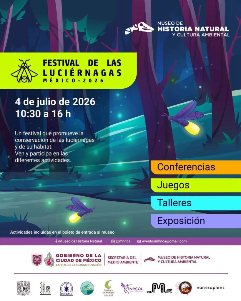 Flyer del Festival de las Luciérnagas del Museo de Historia Natural y Cultura Ambiental de CDMX.