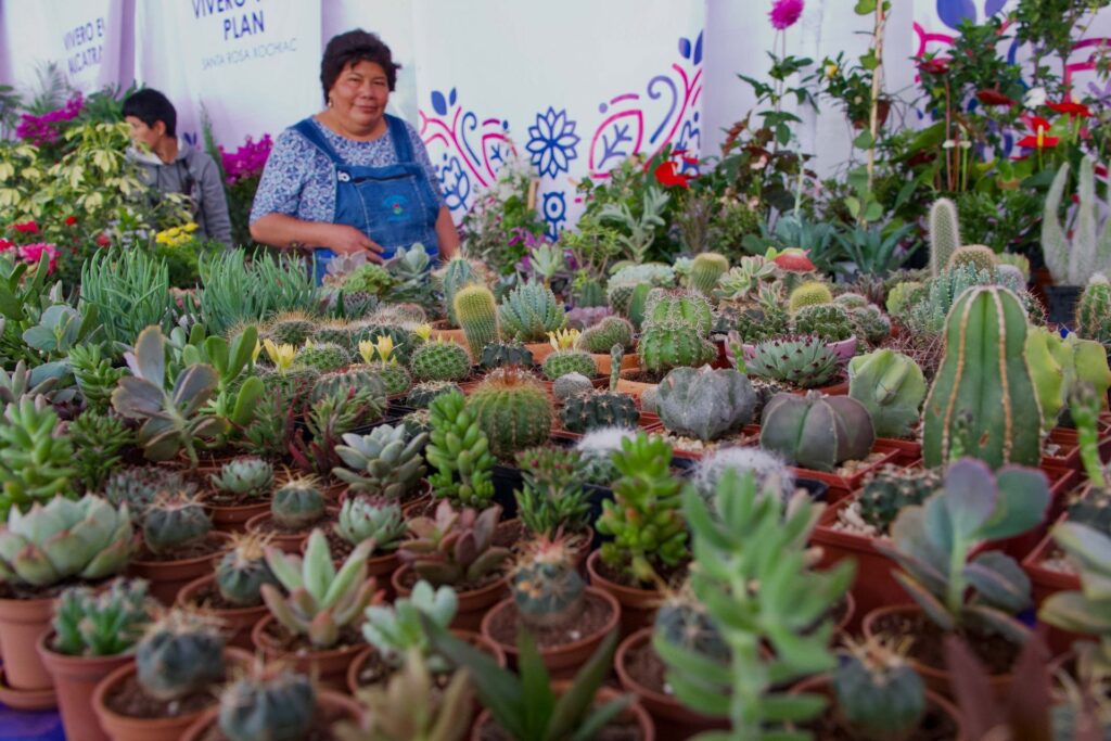 No te pierdas la edición 2026 de la Feria de las Flores en San Ángel. 