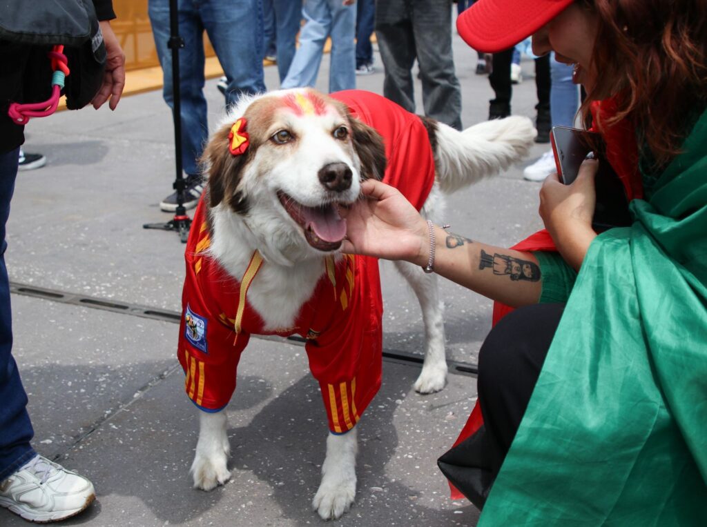 Disfruta del futbol y tu perrito en un solo lugar.