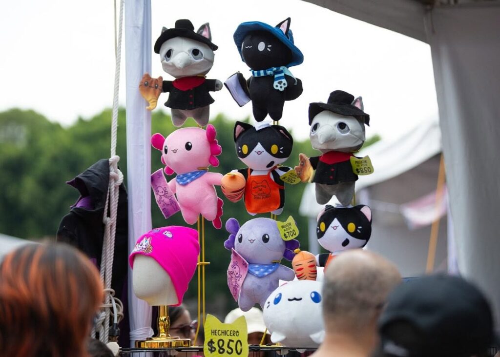 Lánzate al Gato Fest 2026, un evento con causa.