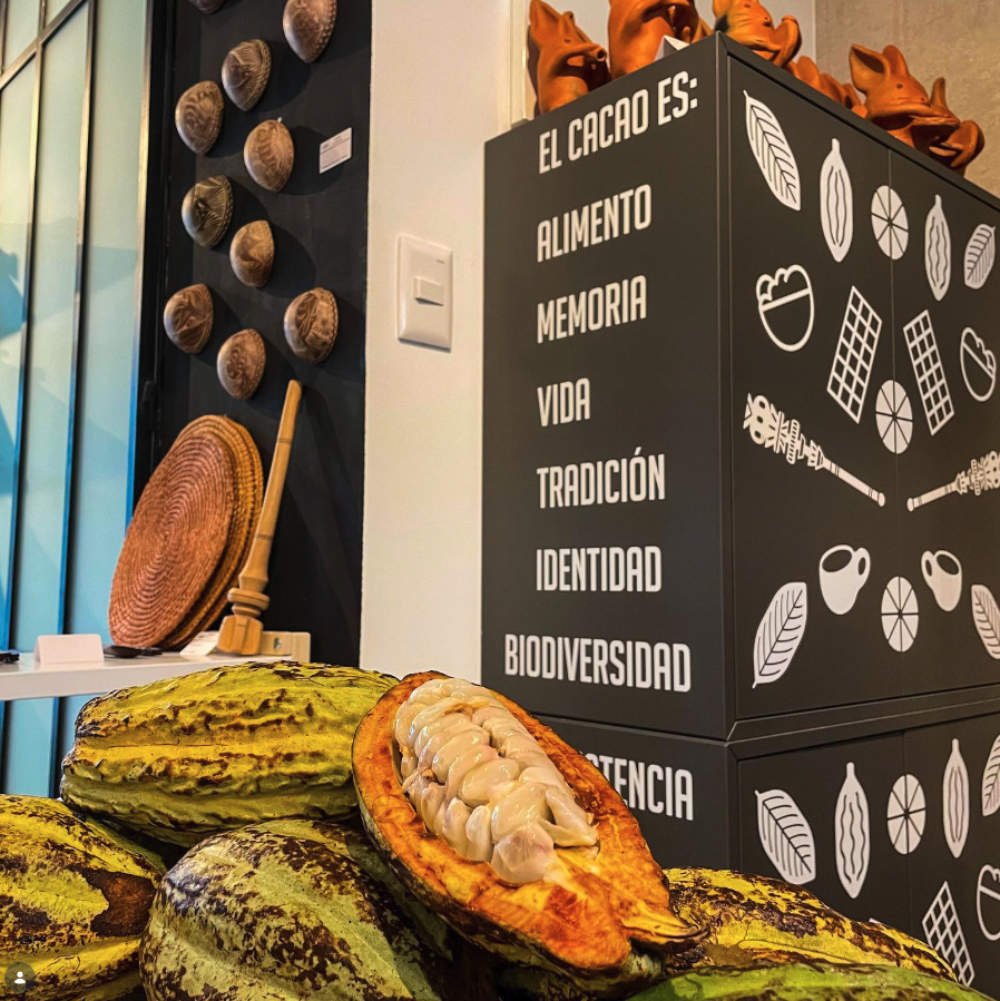 Disfruta del cacao en todas sus presentaciones.